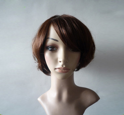 6A 100 Human Hair Wigs For Black Women , Front Lace Human Hair Wigs