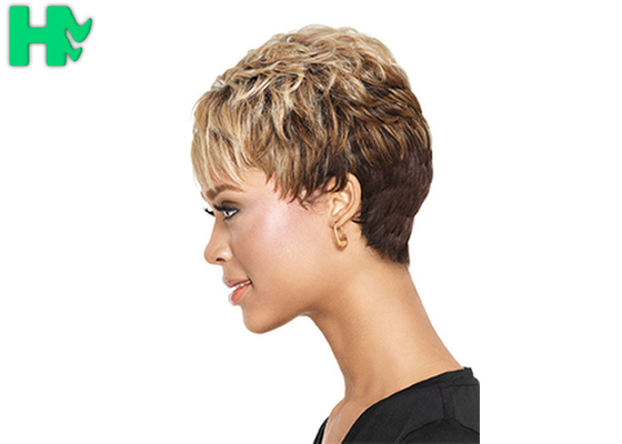 Silky Straight Wave Synthetic Hair Wigs for Black Women Natural Curly