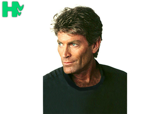 Handsome FashionMen MaleShort Synthetic Hair Wigs  No Tangle No Shed 10 Inches